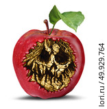Poison apple and food safety concept as a rotten fruit with a death hidden skull inside as a symbol of witchcraft or magical curse and contamination in a 3D illustration style. Стоковое фото, агентство Ingram Publishing / Фотобанк Лори