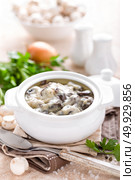 Mushrooms in creamy sauce, julienne. Champignon. Стоковое фото, агентство Ingram Publishing / Фотобанк Лори