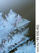 Rime macro. Natural pattern of nature. Стоковое фото, агентство Ingram Publishing / Фотобанк Лори