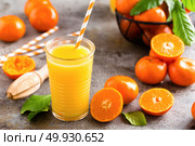 Mandarin orange juice. Refreshing summer drink. Fruit refreshment beverage. Стоковое фото, агентство Ingram Publishing / Фотобанк Лори