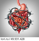 Painful digestion IBS or irritable bowel syndrome and intestine pain or Intestinal discomfort inflammation problem or constipation as barbed wire with 3D illustration elements. Стоковое фото, агентство Ingram Publishing / Фотобанк Лори