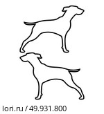 Hunter dog or gundog icon black color vector illustration flat style simple image. Стоковая иллюстрация, агентство Ingram Publishing / Фотобанк Лори