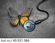 Medical recovery and healing through doctor rehabilitation concept as a grey butterfly being revived through treatment by a stethoscope with 3D illustration elements. Стоковое фото, агентство Ingram Publishing / Фотобанк Лори