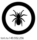 Spider or tarantula black icon in circle vector illustration isolated. Стоковая иллюстрация, агентство Ingram Publishing / Фотобанк Лори