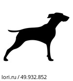 Hunter dog or gundog icon  icon black color vector illustration isolated. Стоковая иллюстрация, агентство Ingram Publishing / Фотобанк Лори