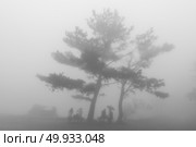 Taiwan Nature Trail in Foggy and Raining Autumn at Yangmingshan National Park in Taipei, Taiwan. Стоковое фото, агентство Ingram Publishing / Фотобанк Лори