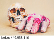 human skull anatomy on background, vintage filter image. Стоковое фото, агентство Ingram Publishing / Фотобанк Лори