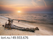 Snag on sea. Composition of nature.. Snag on sea. Стоковое фото, агентство Ingram Publishing / Фотобанк Лори