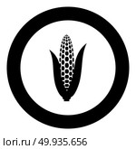 Maize icon black color in circle round vector illustration. Стоковая иллюстрация, агентство Ingram Publishing / Фотобанк Лори