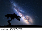 Milky Way with alone old tree on the hill. Milky Way with alone old tree on the hill. Colorful night landscape with milky way, sky with stars and hills in summer. Space background. Amazing astrophotography. Beautiful universe. Nature. Стоковое фото, агентство Ingram Publishing / Фотобанк Лори
