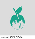 Icon of Peach. Gray background with green. Vector illustration. Стоковое фото, агентство Ingram Publishing / Фотобанк Лори