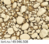 Limestone background. Стоковое фото, агентство Ingram Publishing / Фотобанк Лори