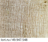 close up background of wood texture. Стоковое фото, агентство Ingram Publishing / Фотобанк Лори