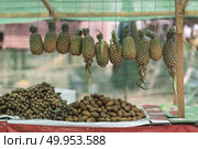 Fruit stalls in Laos . Стоковое фото, агентство Ingram Publishing / Фотобанк Лори