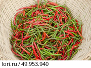 red pepper. Стоковое фото, агентство Ingram Publishing / Фотобанк Лори