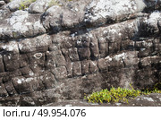 Phu Hin Rong Kla in Thailand, The stone yard. Стоковое фото, агентство Ingram Publishing / Фотобанк Лори