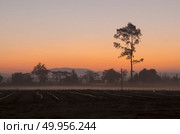 beautiful sunset over agricultural site. Стоковое фото, агентство Ingram Publishing / Фотобанк Лори