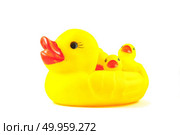 yellow duck toy. Стоковое фото, агентство Ingram Publishing / Фотобанк Лори