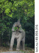 Wild elephant in Khao Yai National Park, Thailand. Стоковое фото, агентство Ingram Publishing / Фотобанк Лори
