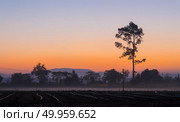 beautiful sunset over agricultural site. Стоковое фото, агентство Ingram Publishing / Фотобанк Лори