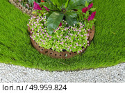 flower garden background. Стоковое фото, агентство Ingram Publishing / Фотобанк Лори