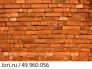 brick-wall. Стоковое фото, агентство Ingram Publishing / Фотобанк Лори