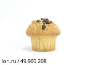 tasty muffin cake, isolated on white. Стоковое фото, агентство Ingram Publishing / Фотобанк Лори