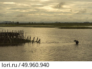 the water buffalo. Стоковое фото, агентство Ingram Publishing / Фотобанк Лори