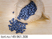 stilllife picture of nuts beans on wooden floor. Стоковое фото, агентство Ingram Publishing / Фотобанк Лори