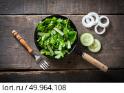 fresh cilantro salad, coriander with cucumber salad. Healthy food concept.. fresh cilantro salad, coriander with cucumber salad. Healthy foo. Стоковое фото, агентство Ingram Publishing / Фотобанк Лори