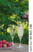 Hand pours sparkling wine into flutes on wooden table, next to bowl of fresh strawberries with lush green background. Ideal for themes of celebration, summer and romance. Стоковое видео, видеограф Елена Никишина / Фотобанк Лори