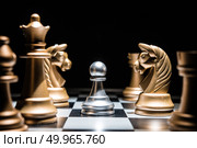 Chess battle defeat pawn of silver team.. Chess battle defeat pawn of silver team. Стоковое фото, агентство Ingram Publishing / Фотобанк Лори