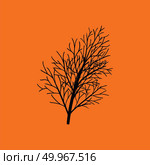 Dill icon. Orange background with black. Vector illustration. Стоковое фото, агентство Ingram Publishing / Фотобанк Лори