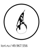 Icon of Pear. Thin circle design. Vector illustration. Стоковое фото, агентство Ingram Publishing / Фотобанк Лори