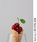 Raw ripe berry - cherries in the waffle cone for ice cream in a glass on a gray with copy space.. Sweet wafer cone with freshly picked red cherries in a glass on a gray background. Стоковое фото, агентство Ingram Publishing / Фотобанк Лори