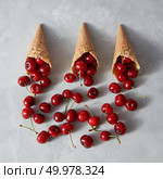 Natural freshly picked fruits cherries in waffle cones for homemade cakes on a gray background with place for text. Organic vegetarian raw eating.. Summer fresh organic fruits pattern - cherry in a wafer cones on a gray stone background. Стоковое фото, агентство Ingram Publishing / Фотобанк Лори