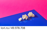 Three sea salt crystals on a pink blue pantone paper background with reflection, place for text... Crystals of natural mineral salt on a duotone pink-blue paper with shadows. Стоковое фото, агентство Ingram Publishing / Фотобанк Лори