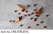 Natural freshly picked fruits cherries for homemade cookies, cakes and waffle cones on a gray background with place for text. Organic vegetarian raw eating.. Pattern of freshly picked ripe cherries in a sweet wafer cones on a gray concrete table. Cherry on a table. Стоковое фото, агентство Ingram Publishing / Фотобанк Лори