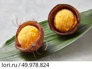 Delicious yellow ice cream in a coconut shell on a palm leafed gray concrete background. Summer dessert. Top view. Fruit ice cream balls in a coconut shell on a green leaf on a gray concrete background. Top view. Стоковое фото, агентство Ingram Publishing / Фотобанк Лори