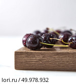 Close-up ripe organic natural cherry in water droplets on a wooden board on white background with soft focus. Copy space.. Home grown fresh cherry with shallow depth of field. Ingredients for sweet homemade jam on a board. Стоковое фото, агентство Ingram Publishing / Фотобанк Лори