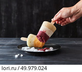 Color berry ice popsicle on a stick in a black plate with pieces of ice on a black wooden background with space for text. Girl’s hand takes ice cream. Homemade summer dessert. A woman’s hand takes a fruity coffee homemade ice cream lolly in a black plate with ice cubes on a dark wooden background with copy space. Dietary dessert. Стоковое фото, агентство Ingram Publishing / Фотобанк Лори