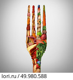 Food decision diet choice concept and nutrition direction or dilemma between healthy good fresh fruit and vegetables or greasy cholesterol rich fast food with a shaped as a fork as a lifestyle choice. Стоковое фото, агентство Ingram Publishing / Фотобанк Лори
