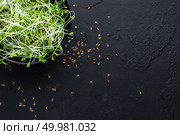 Healthy vegetarian bowl dish with fresh flaxseed sprouts. Plate with raw linseed sprouts salad. Healthy balanced eating. Superfood. Стоковое фото, агентство Ingram Publishing / Фотобанк Лори