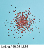 Flaxseed background. Concept of healthy organic vegetarian food. Top view. Flax seeds pattern on blue paper background. Flaxseed or linseed. Стоковое фото, агентство Ingram Publishing / Фотобанк Лори