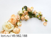 Composition of beautiful roses of different colors represented over white background. Nice decoration of any post card. Valentine’s Day concept.. Roses on white background. Стоковое фото, агентство Ingram Publishing / Фотобанк Лори