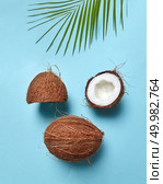 Composition from coconut and palm leaf in the form of a face with a closed eye on a blue background with copy space. Flat lay. Halves and whole tropical nut with palm leaf in the form of a face with a closed eye on a blue background with space for text. Flat lay. Стоковое фото, агентство Ingram Publishing / Фотобанк Лори
