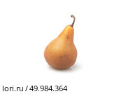European Pear fruit isolated on white. Стоковое фото, агентство Ingram Publishing / Фотобанк Лори