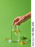 Citrus pieces, ice, sprig of green mint are on green background. Splashes and drops of a natural cocktail on the surface of the table. A female hand throws ice cubes into a glass with cocktail.. A girl’s hand throws a piece of ice into a glass jar with a natural lemonade. Splash and drops on green table. Slices of lemon, lime, ice cubes, mint leaf on green with copy space. Стоковое фото, агентство Ingram Publishing / Фотобанк Лори