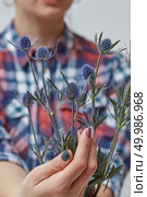 Cute young woman holding beautiful blue eringium flowers. Holiday. woman holding blue flowers eryngium. Стоковое фото, агентство Ingram Publishing / Фотобанк Лори