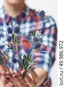 Smiling Woman giving blue flowers to eringium. Holiday, Mother’s Day. woman holding blue flowers eryngium. Стоковое фото, агентство Ingram Publishing / Фотобанк Лори